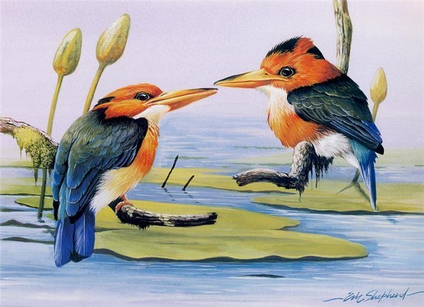 Superbe peinture d'oiseaux