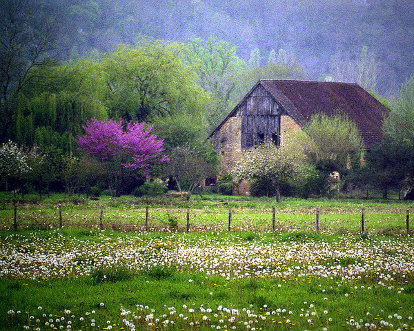 Beau village de Saint-Léon-sur-Vézère