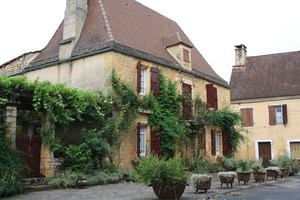 Beau village de Saint-Léon-sur-Vézère
