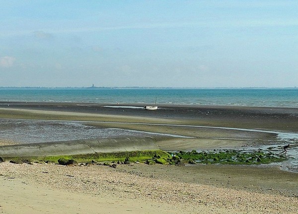 Plage de Basse Normandie (Manche)