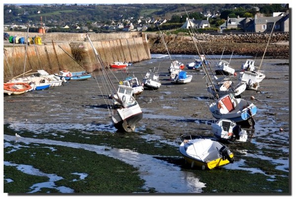 Plage de Basse Normandie (Manche)