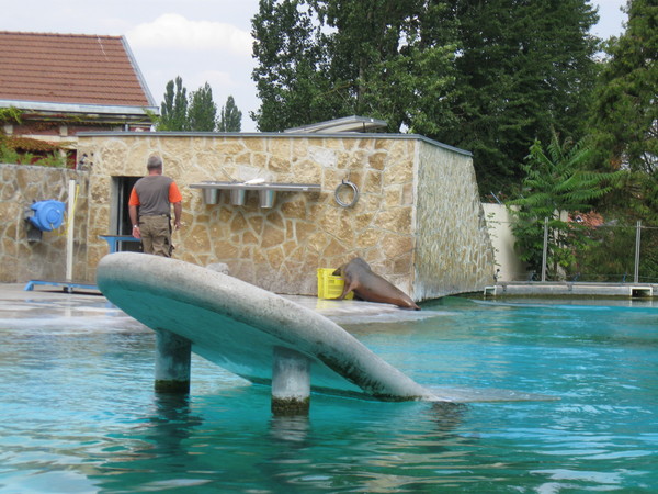 Zoo d' Amiens- 2012