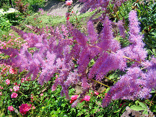 Paysages -Printemps -Eté