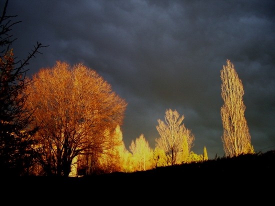 Paysage d'automne