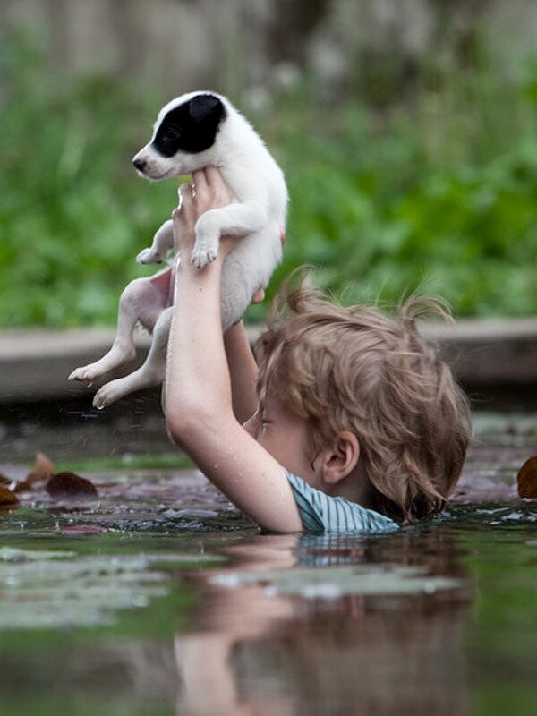 Enfant et leur animal