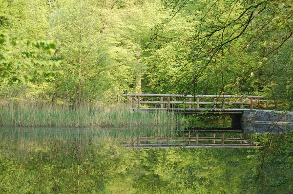 Paysages -Printemps -Eté