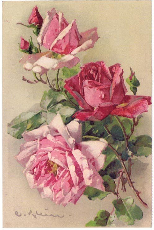 Fleurs de Catherine Klein