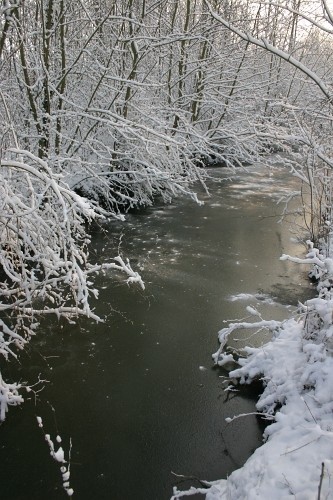 Paysages d'hiver