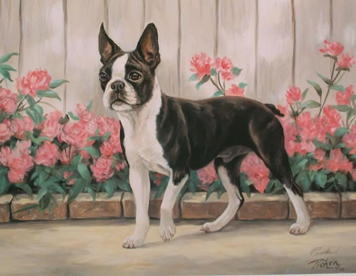  Animaux de Linda Picken (chien)