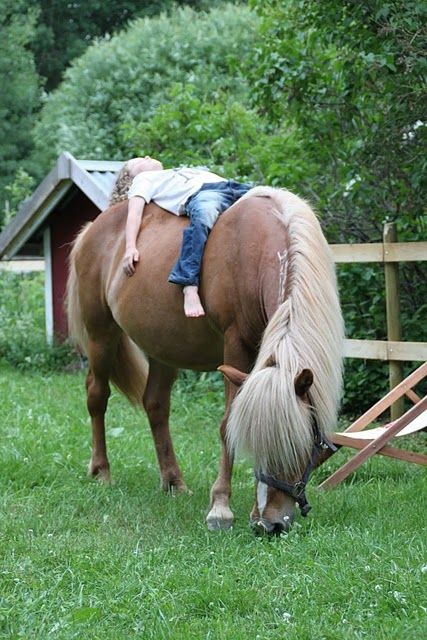 Enfant et leur animal