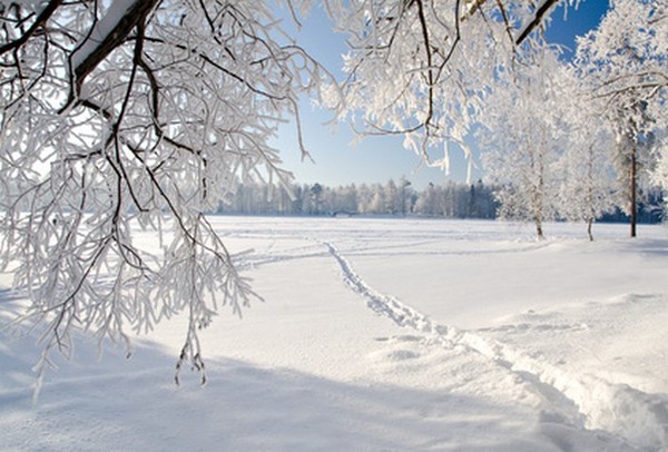 Paysage d'hiver