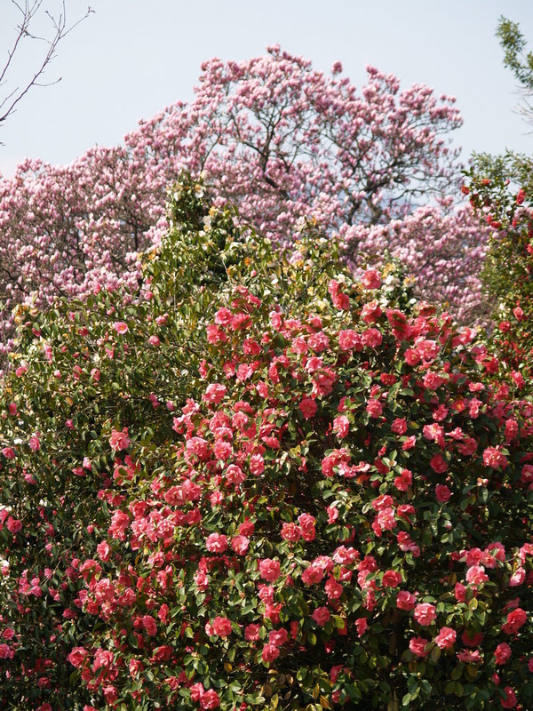 Paysages -Printemps -Eté