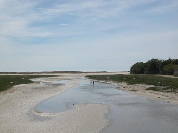 Plage de Basse Normandie (Manche)