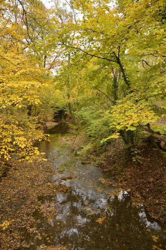 Paysage d'automne