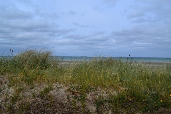 Plage de Basse Normandie (Manche)