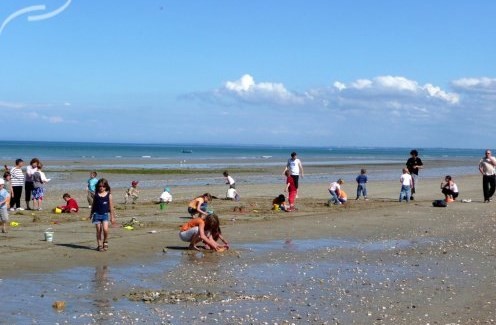 Plage de Basse Normandie (Manche)