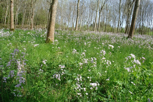 Paysages -Printemps -Eté