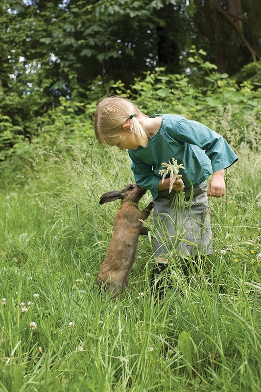 Enfant et leur animal