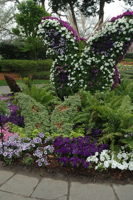 Sculture florale- Topiaire