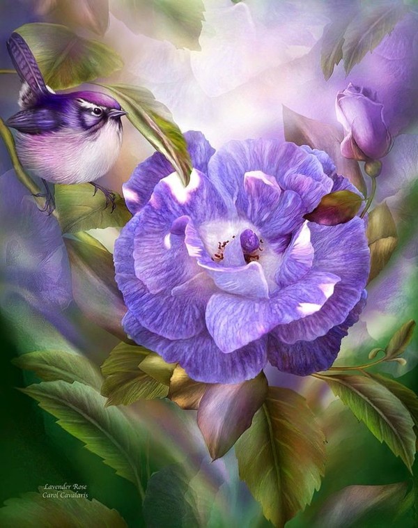 Fleurs de Carol Cavalaris