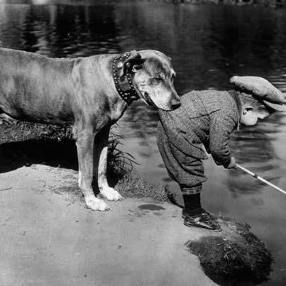 Enfant et leur animal