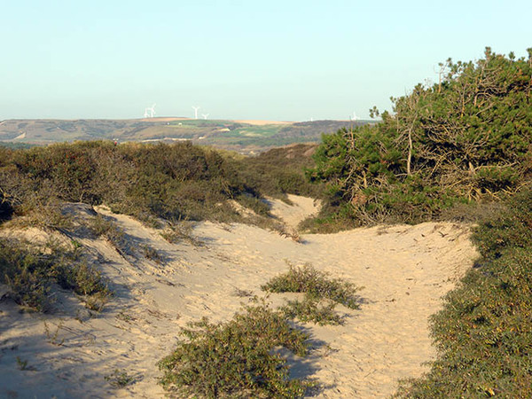 Plage du Nord - Pas de Calais