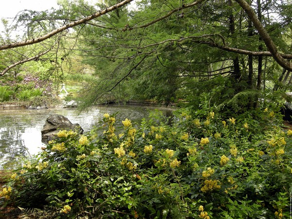 Paysages -Printemps -Eté