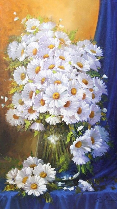 Fleurs de Jorge Maciel