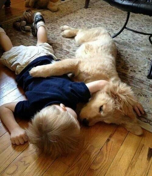 Enfant et leur animal