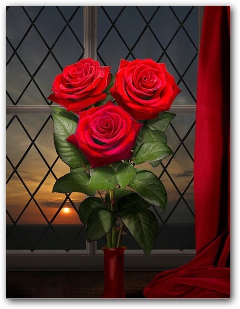 Jolies  roses
