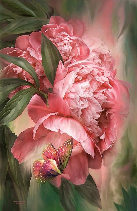 Fleurs de Carol Cavalaris