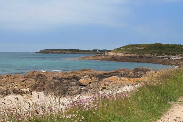 Plage de Basse Normandie (Manche)