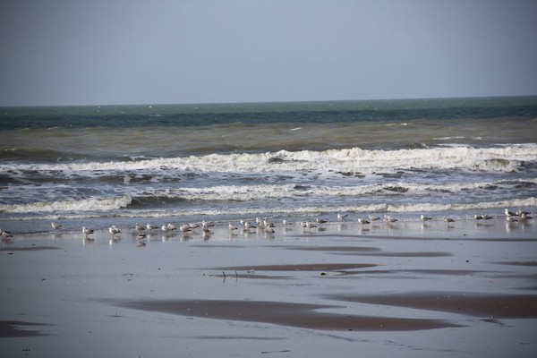 Plage de Basse Normandie (Calvados)