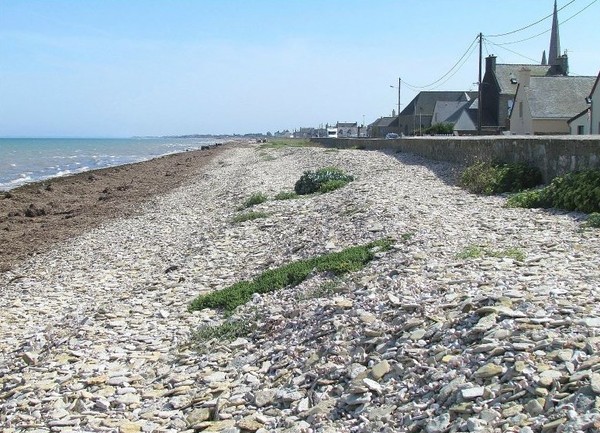 Plage de Basse Normandie (Manche)