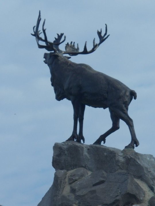 Beaumont-Hamel- 1ére guerre mondiale ,bataille de la Somme