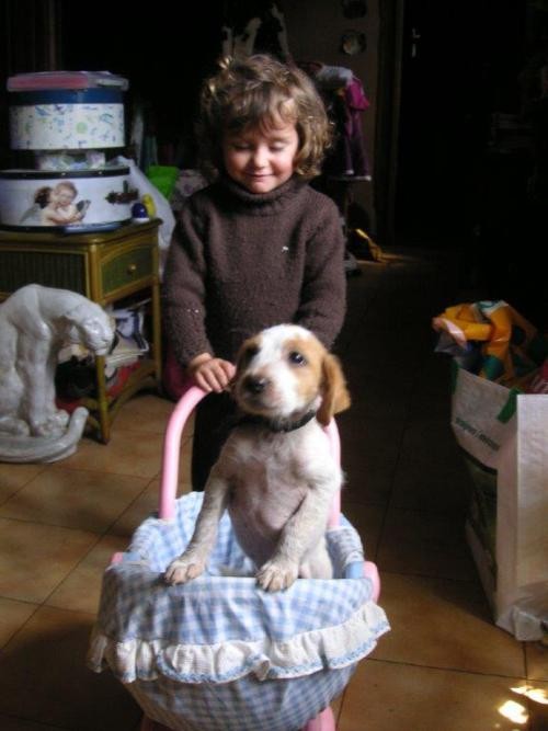 Enfant et leur animal