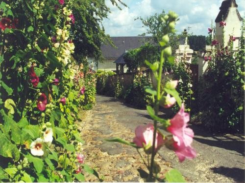 Beau village de Montsoreau