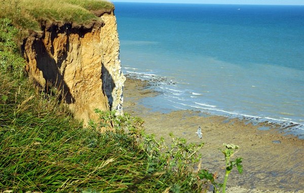 Plage de Picardie