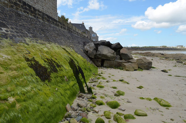 Plage de Basse Normandie (Manche)