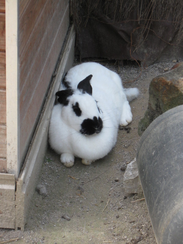 Zoo d'Amiens -2012