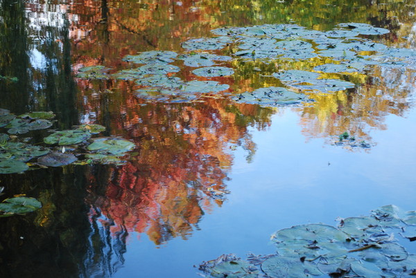 Paysage d'automne