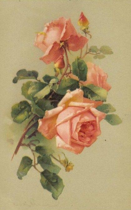 Fleurs de Catherine Klein