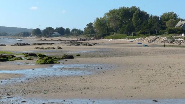 Plage de Basse Normandie (Manche)