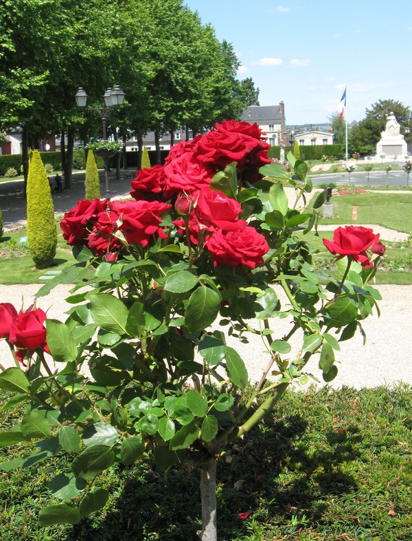 Lisieux-Les Jardins de L'Evêché 