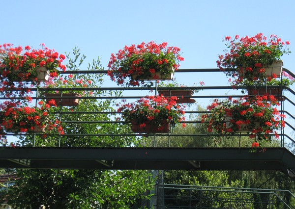 Amiens -Les hortillonnages