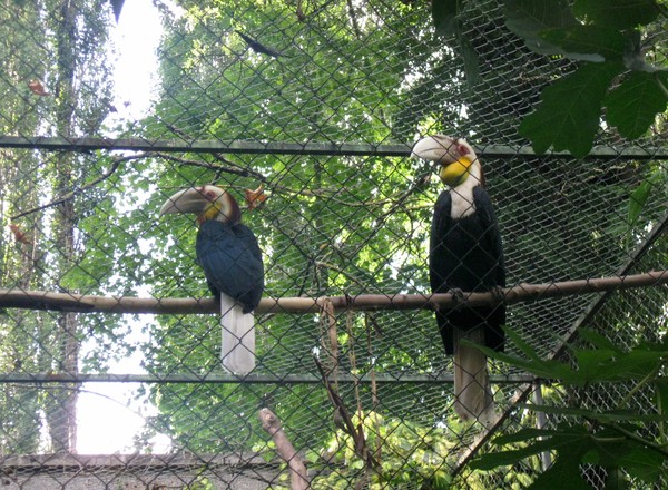 Zoo d'Amiens -2012