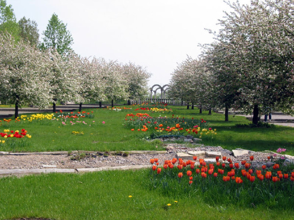 Fleurs et paysages ( printemps-été)