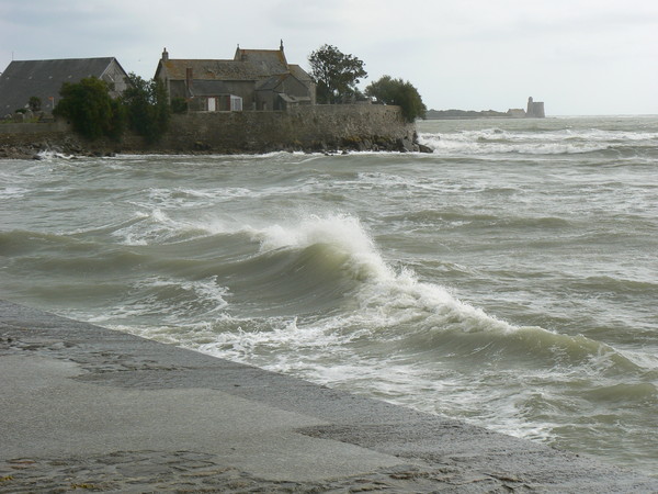 Plage de Basse Normandie (Manche)