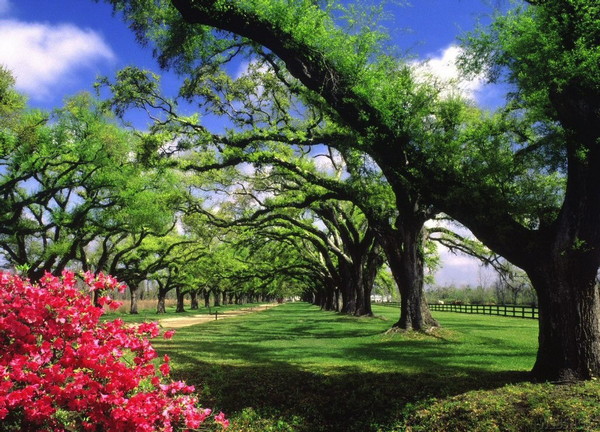 Paysages -Printemps -Eté