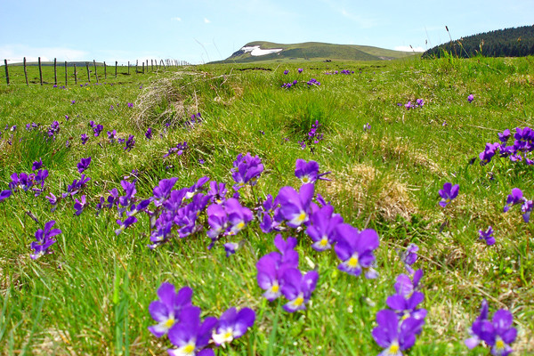 Paysages -Printemps -Eté